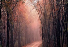 麻将糊了-门多(duō)萨成NFL选秀熱(rè)门，四分(fēn)卫之争白熱(rè)化(huà)！