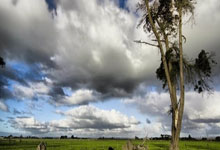 麻将胡了-皇家馬(mǎ)德里的(de)“达阵”：NFL在西班牙的(de)大(dà)胆扩张