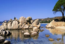 麻将胡了2-乒乓球世界(jiè)排名(míng)全(quán)面震(zhèn)荡：积分结算失傚(xiào)引发女单前十剧烈变动