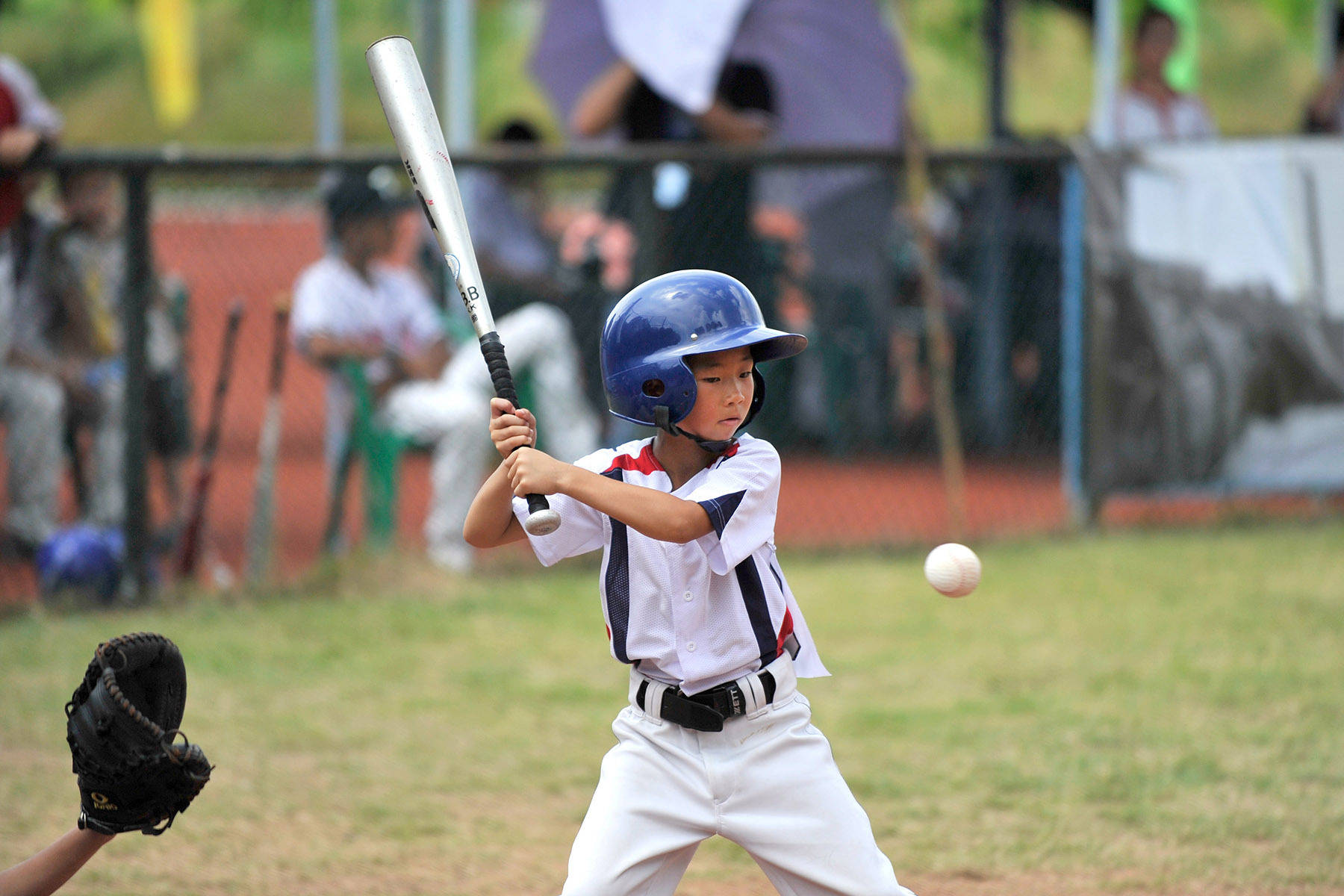 麻将胡了2-图集｜“棒球(qiú)之城”中山(shān)，正全(quán)力挥出“本(běn)垒打”